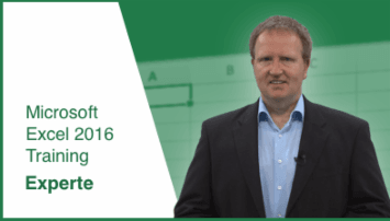 Microsoft Office Excel 2016: Level 3 (Experte) - von SONIC  Performance Support - quofox