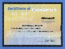 Microsoft Certified Professional (MCP C#, .NET)